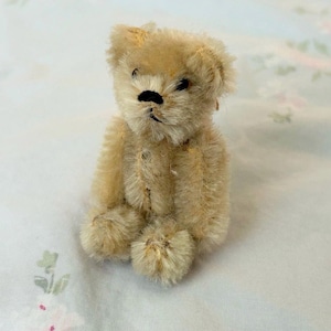 Schuco bear - Etsy 日本