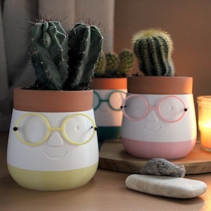 Smiling Plant with glasses |  Planter for plants head | Plant pot for indoors | Urban jungle | 3d Printed | Flower Pots