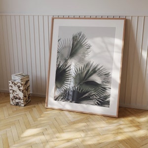 May include: A framed print of a close-up of palm leaves in shades of green against a white background.