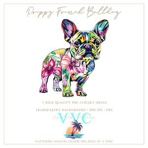 Preppy Französische Bulldogge Clip Art - transparenter Hintergrund in PNG - Hund, Hunde, Bulldogge, süßer frenchie Hund, Welpe, lebendig