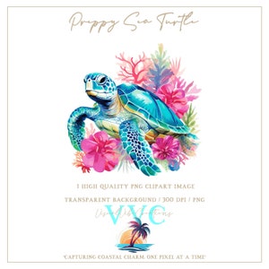 Preppy Sea Turtle-illustraties - transparante achtergrond in PNG - schildpad, strand, reptiel, Florida, tropisch, paradijs, schildpad, kust, zomer