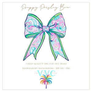 Preppy Paisley Bow Clip Art - transparenter Hintergrund in PNG - lebhaft, Florida, tropisch, Sommer, Geburtstag für Sie, alles Gute zum Geburtstag, Paisley