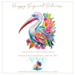 Preppy Tropischer Pelikan Clip Art - transparenter Hintergrund in PNG, Vogel, Strand, Insel, Küste, Florida, tropisch, Paradies, Sommer, lebendig