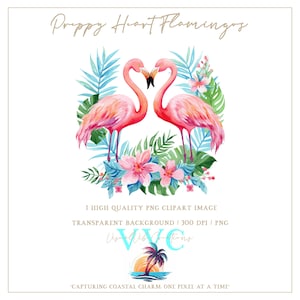 Preppy Herz Flamingos Clip Art - transparenter Hintergrund in PNG - Strand, Blume, Florida, tropisch, Paradies, Insel, Vogel, Küste, Sommer