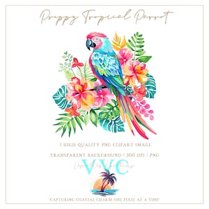 Images clipart perroquet tropical preppy - fond transparent en PNG - plage, fleur, Floride, tropical, paradis, île, oiseau, été, jungle