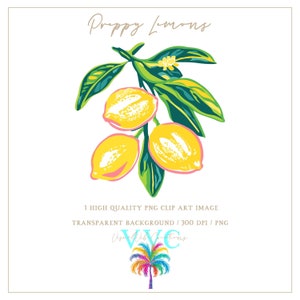 Preppy Lemons Clip Art - fondo transparente en PNG - vibrante, clip art de limón, clip art de cítricos, clip art de Florida, clip art de frutas