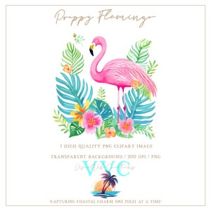 Clipart flamant rose BCBG - arrière-plan transparent en PNG - floral, plage, fleur, Floride, tropical, paradis, île, oiseau, été, côtier
