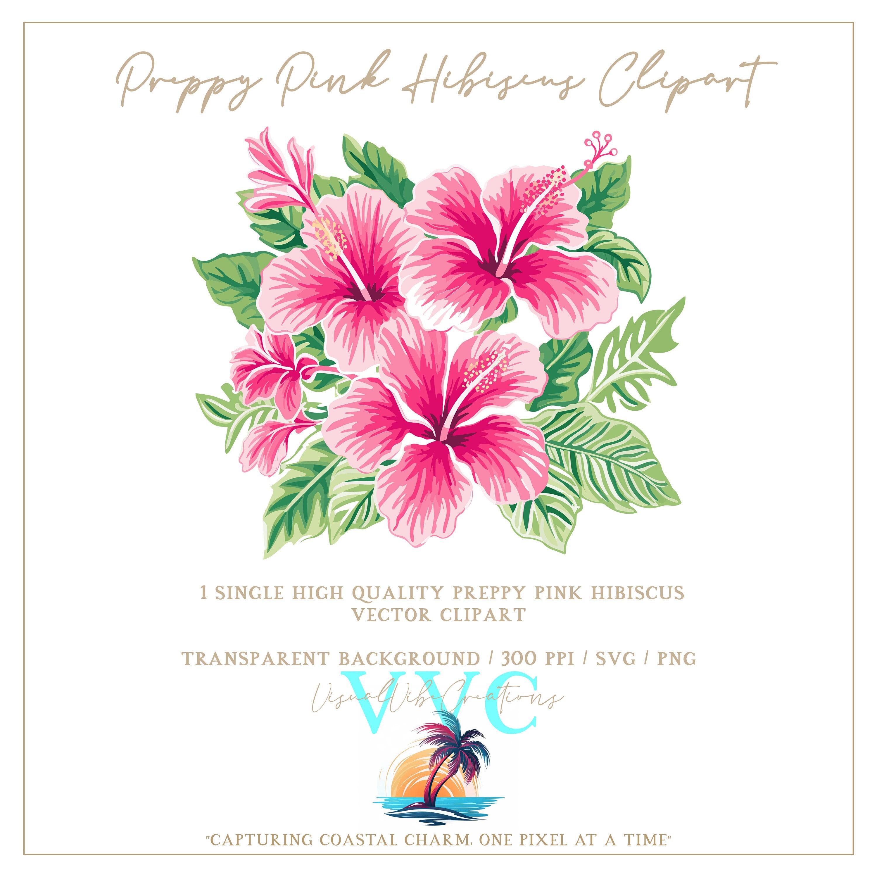 Preppy Pink Hibiscus Clipart Transparent Background in SVG, PNG, Vector  Flower, Floral, Beach, Island, Florida, Tropical, Paradise - Etsy Canada