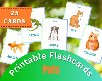 25 Tarjetas para mascotas, Tarjetas flash Montessori, Tarjetas preescolares, Tarjetas educativas imprimibles DigiRelic, DESCARGA INSTANTE
