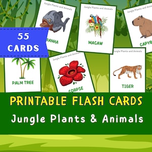 55 cartes plantes et animaux de la jungle, cartes flash Montessori, cartes préscolaire, cartes éducatives imprimables DigiRelic, TÉLÉCHARGEMENT IMMÉDIAT