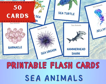 50 Tarjetas de Animales Marinos, Tarjetas Flash Montessori, Tarjetas Preescolares, Tarjetas Imprimibles Educativas DigiRelic, DESCARGA INSTANTE