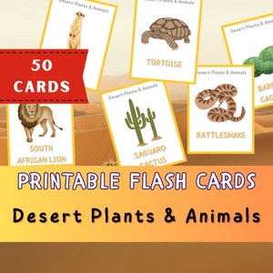 50 Tarjetas de Plantas y Animales del Desierto, Tarjetas Flash Montessori, Tarjetas Preescolares, Tarjetas Imprimibles Educativas DigiRelic, DESCARGA INSTANTE