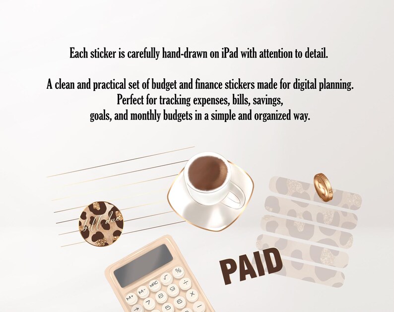 Simple Sticker Financial Model Budget Digital Planner Stickers, Financial Planning Sticker Pack for ...