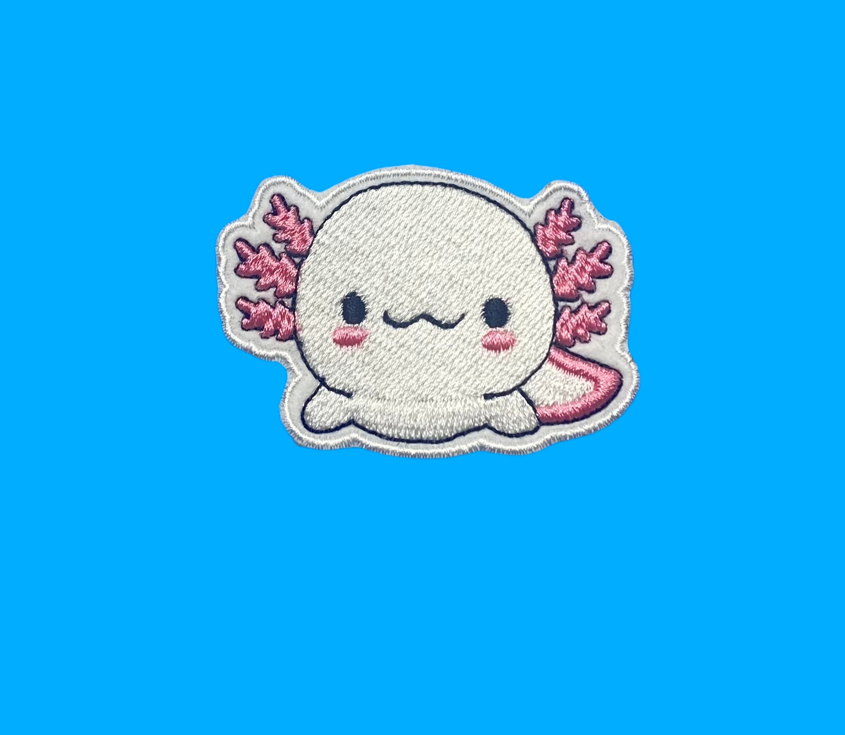 Cute Gaming Axolotl Video Game Computer Videogame PC Kawaii Anime Axolotl |  Photographic Print