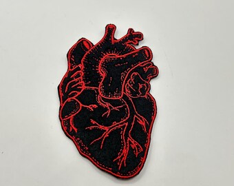 Anatomical Heart Patch
