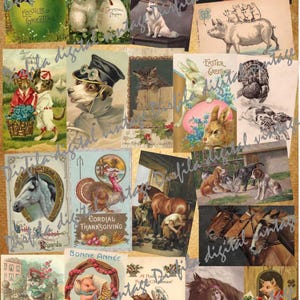 Set of 60 Vintage Animals and Birds Postcards - High Quality Digital Downloads for Scrapbooking and Scrapbooking