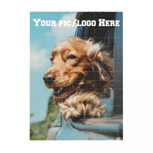 May include: A brown and white dog with its head and paws sticking out of a car window. The dog is looking to the right and has its mouth slightly open. The background is a blue sky with white clouds.