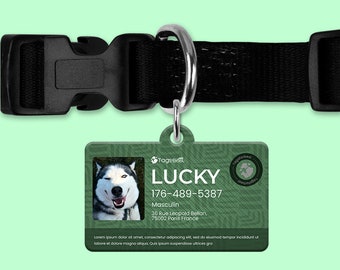 Medaglia rettangolare per cane e gatto senza cuciture, medaglia totalmente personalizzata, medaglia di identificazione, stampa fronte e retro