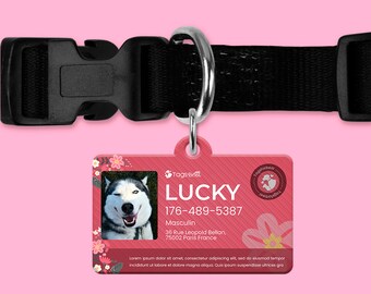 Medaglia rettangolare rosa per cani e gatti, medaglia totalmente personalizzata, medaglia di identificazione, stampa fronte e retro