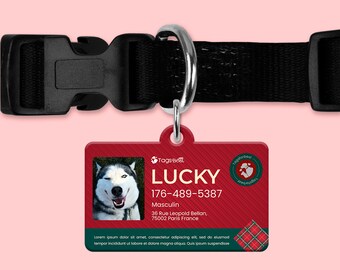Medaglia di Natale rettangolare per cani e gatti, medaglia totalmente personalizzata, medaglia identificativa, stampa fronte e retro
