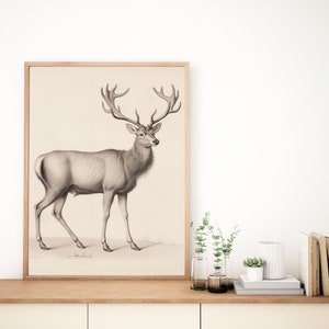 Poster di animali, Poster stampato personalizzato, Poster di alta qualità, Stampa d'arte, Poster personalizzato