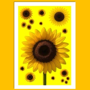 Carte tournesol - personnalisable, toute occasion, carte vierge, carte nature, carte fleurs, carte de voeux, carte d'anniversaire, carte d'amis