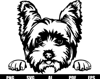 Yorkshire Terrier svg, Yorkie face clipart,Dog svg cricut, Peeking yorkie svg, yorkshire svg, clipart, shirt design vinyl, Dog Cut file