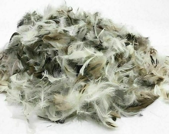 Soft Loose Duck Feather Toy Stuffing Cushion Pillow Sofa Filling Teddy Bear 10kg