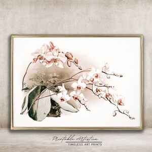 Pink-White Vintage Botanical Paint | Vintage Flower Painting | Rustic Farmhouse Decor | PRINTABLE #39