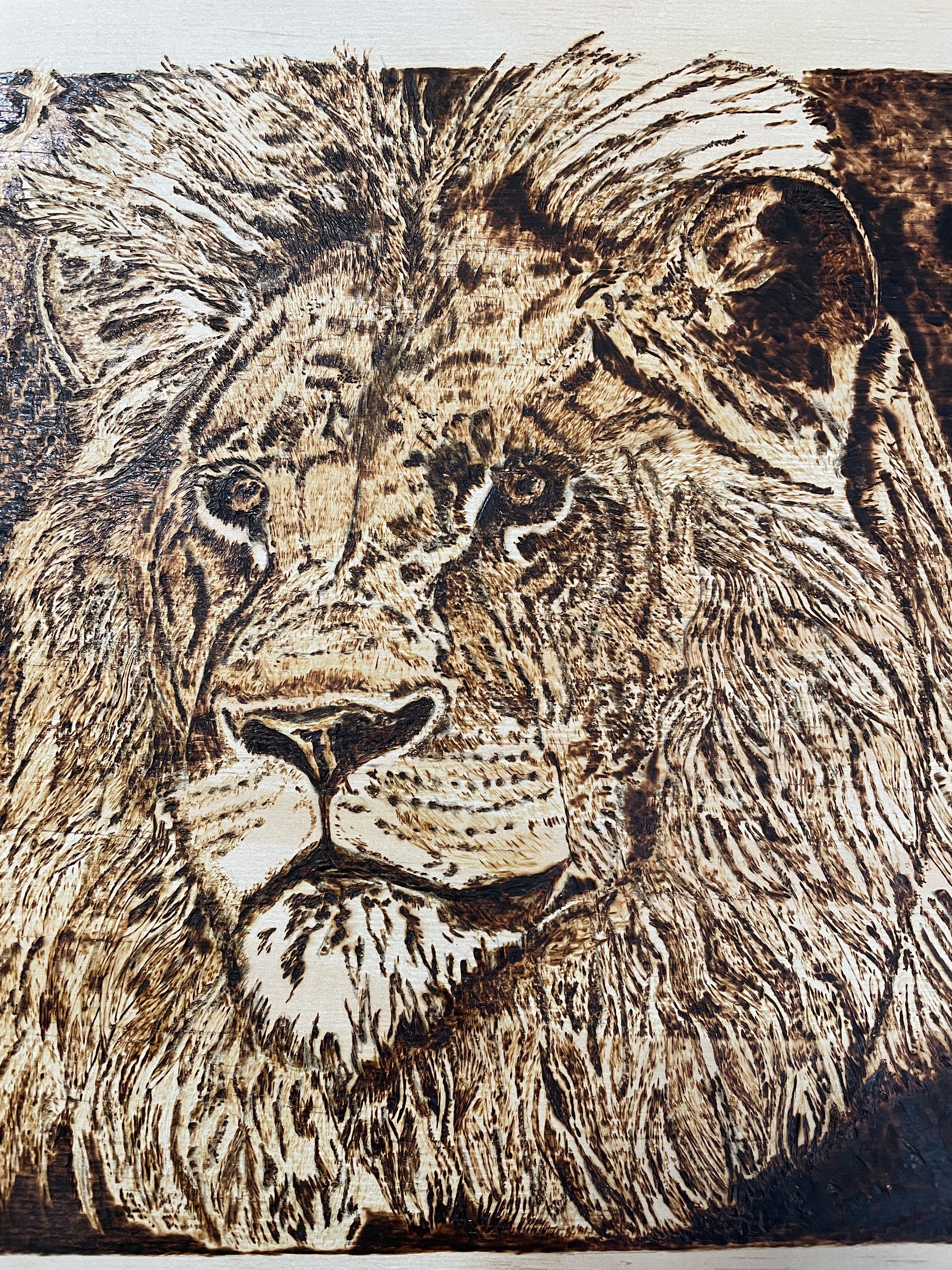 Lion - Etsy