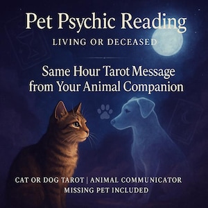 Lectura psíquica para mascotas fallecidas, para mascotas vivas, para mascotas desaparecidas, lectura de tarot a la misma hora, comunicador animal, lectura de tarot para gatos o perros