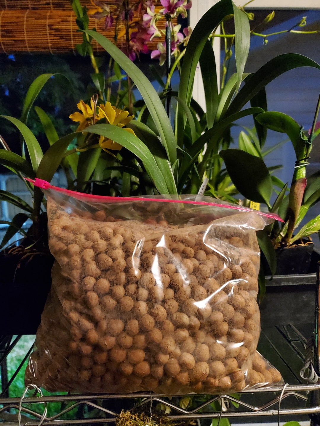 LECA Orchid Potting Media Expanding Clay Balls Etsy