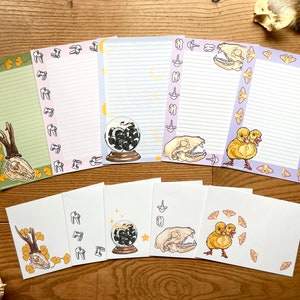 MASTER Pack (5 juegos) ¡EXCLUSIVO espécimen húmedo de serpiente! Oddities Stationery Juego de cartas A5 (LINES) Cute Spooky Goth Taxidermy Witchy Themed Paper