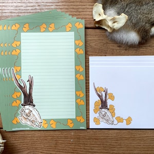 Papelería Oddities, juego de cartas A5 - Calavera de Jackalope - Calavera de animal espeluznante, papel gótico con temática de brujas - Colección 1