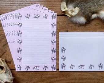 Op de afbeelding: Een stapel roze briefpapier met een rand van kleine, grijze tandenillustraties. Het papier heeft een geregeerd schrijfgedeelte. Een enkel vel wit briefpapier met een vergelijkbare tandenrand is ook te zien.