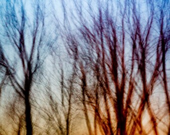 Tress abstract