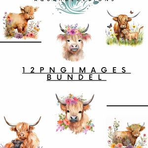 Highland Cow Clipart, 12 Transparent PNG Images ,Watercolor Clipart, Cute Baby Shower Graphics, Decor Wall Art, Farm Animal PNG