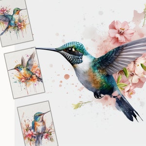 Hummingbird Clipart, 12 PNG Images, Watercolor Hummingbird, Digital Illustration Bundle