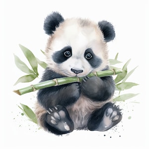 Clipart de bebê panda, JPGs de clipart em aquarela - conjunto de 12 download digital, pacote de ilustração digital, artesanato em papel digital