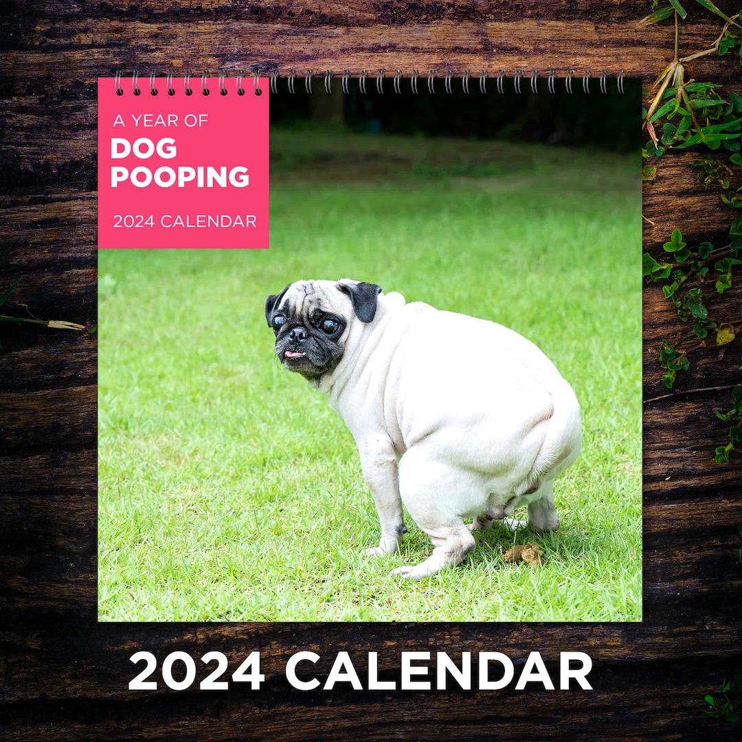 Dogs Pooping Calendar 2024, Dog Wall Calendar 2024, 2024 Wall Calendar