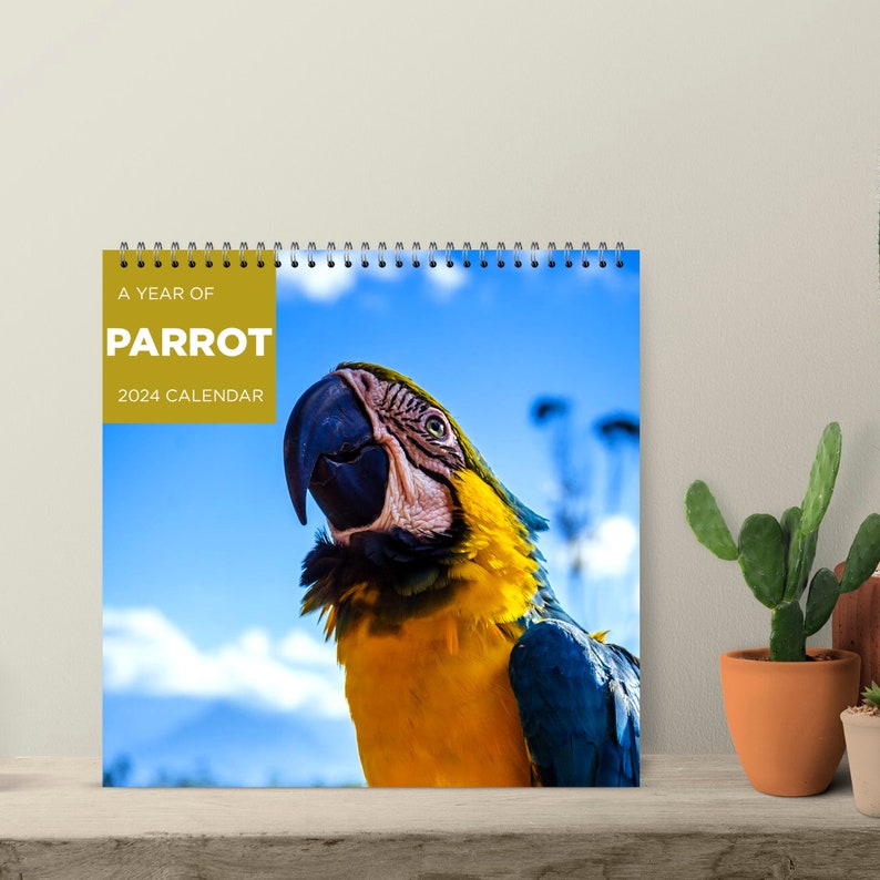 Parrot Calendar 2024 2024 Wall Calendar 12 Month Calendar Etsy