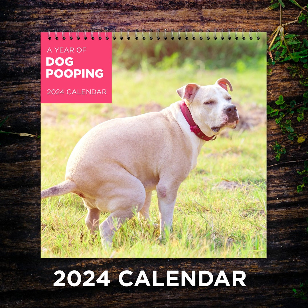 Dogs Pooping Calendar 2024 Dog Wall Calendar 2024 2024 Wall Etsy