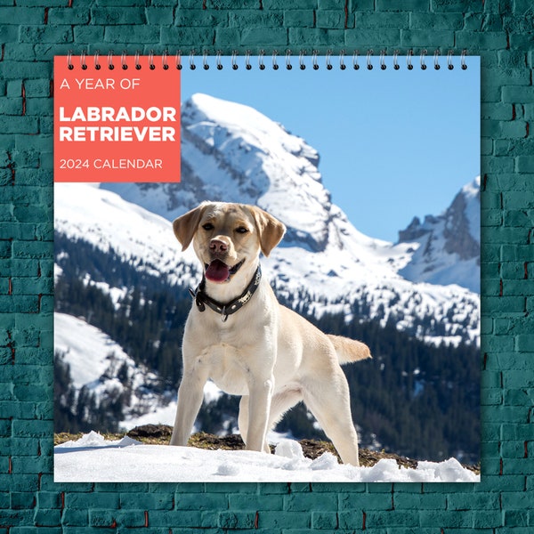 Labrador Calendar 2024 Etsy