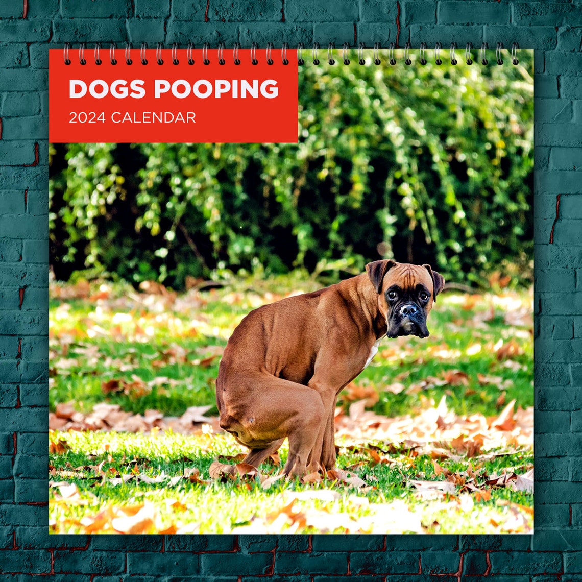 Dogs Pooping Calendar 2025, Dog Wall Calendar 2025, 2025 Wall Calendar