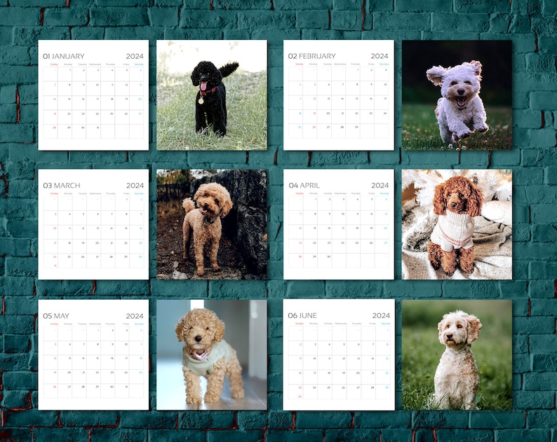 Poodle Calendar 2024, Dog Wall Calendar 2024, 2024 Wall Calendar, 12