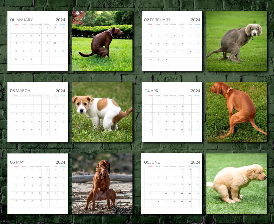 Dogs Pooping Calendar 2024, Dog Wall Calendar 2024, 2024 Wall Calendar