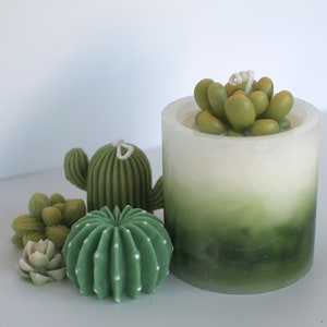 Succulent Candle Candle Lantern Plant Candle Table Decor Holiday Gift Gift for her House warming Gift image 1