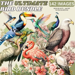 The Ultimate Bird Clipart Bundle - 142 clipart de pássaros em aquarela, cardeal vermelho, flamingo, pavão, uso comercial, scrapbooking, floral PNGs