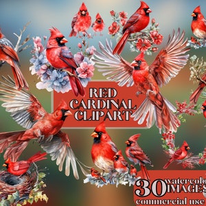 Red Cardinal Clipart, 30 High Quality PNGs, Digital Download | Card Making, Nursery Art, Cute Bird Clipart, Digital Paper Craft