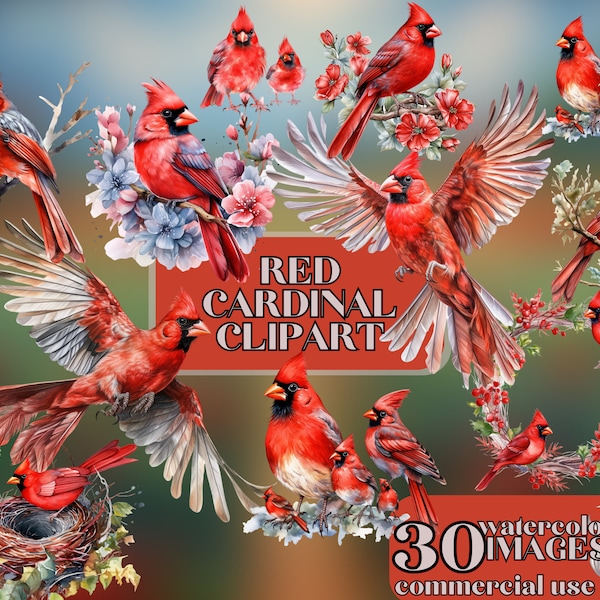 Red Cardinal Clipart, 30 High Quality PNGs, Digital Download | Card Making, Nursery Art, Cute Bird Clipart, Digital Paper Craft